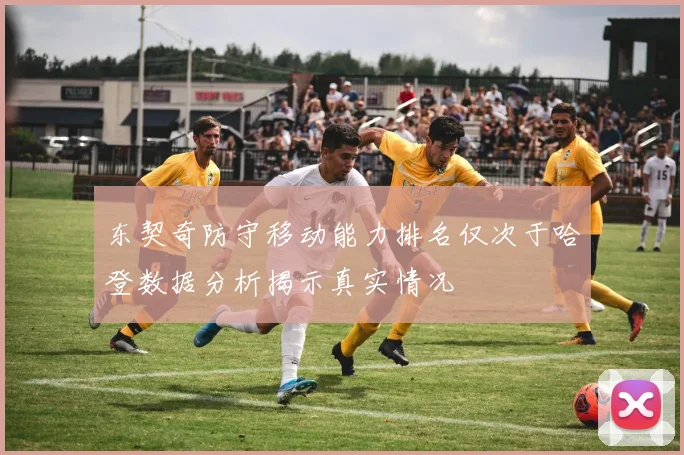 东契奇防守移动能力排名仅次于哈登数据分析揭示真实情况