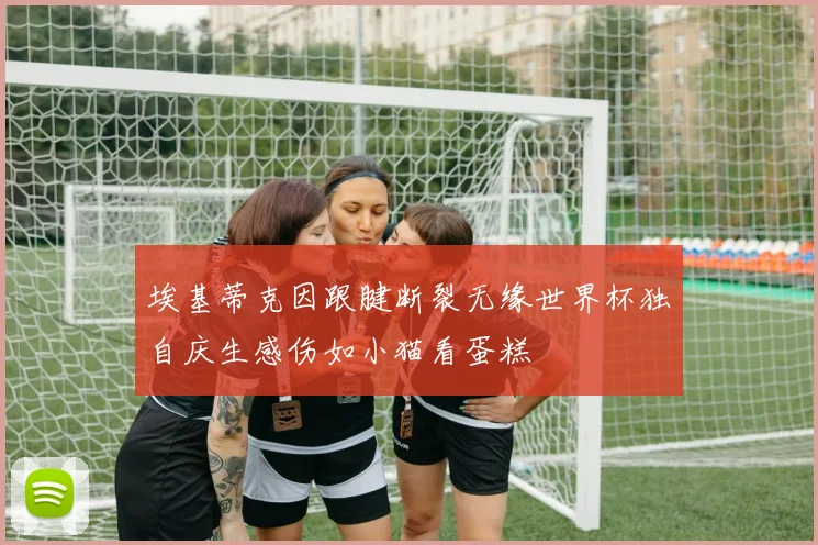 埃基蒂克因跟腱断裂无缘世界杯独自庆生感伤如小猫看蛋糕